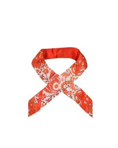 Etro Paisley Printed Pointed-Tip Scarf