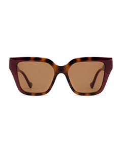 Gg1023s Havana & Burgundy Sunglasses