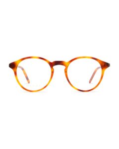 Gg1160o Havana Glasses