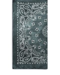 Golden Goose Deluxe Brand Paisley Printed Scarf