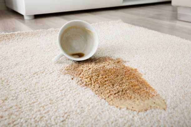 visual representation of tea stain on carpet