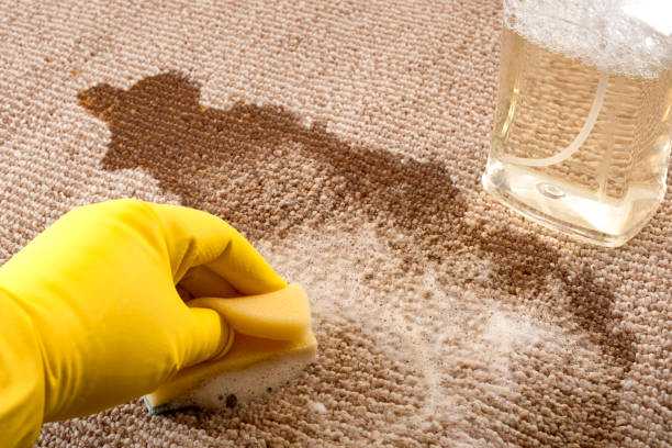 use ammonia, dishwasher soap and water to remove rust stain from carpet