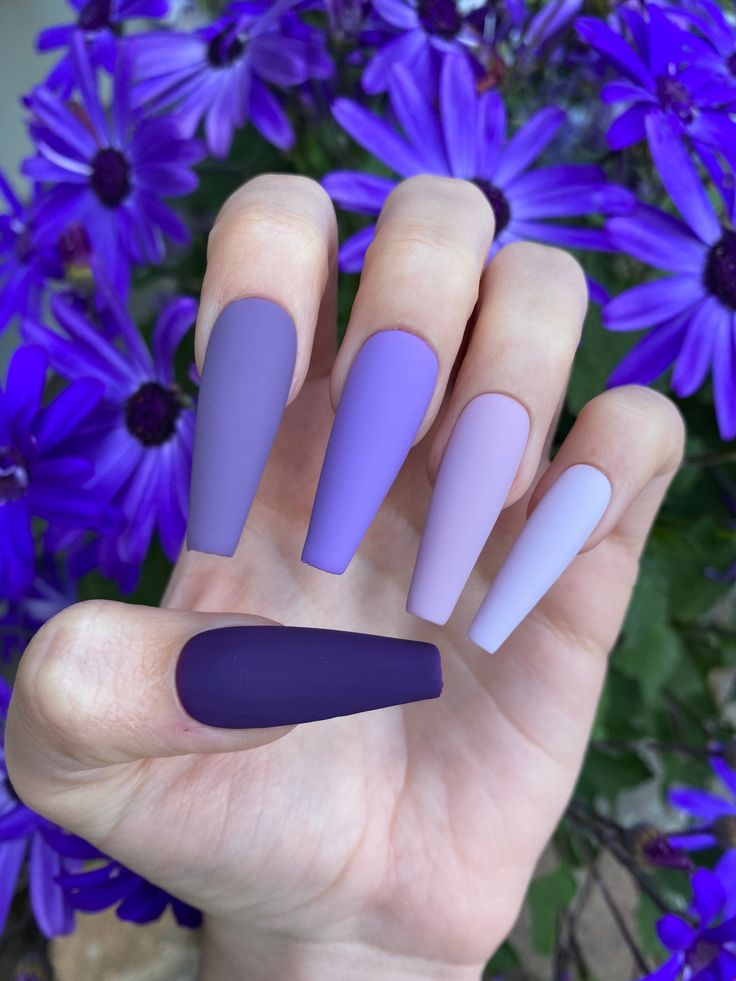 Gorgeous gradient with shades of purple