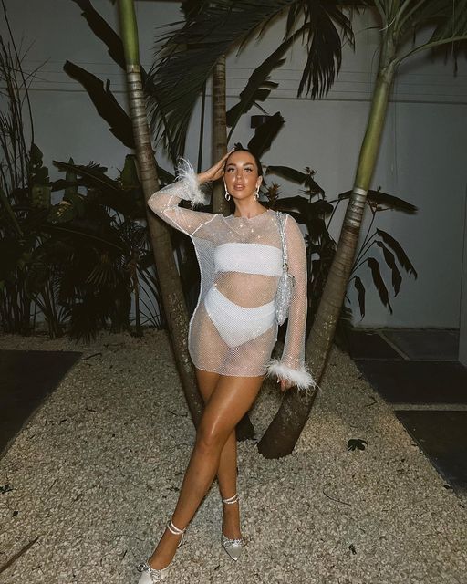 Mesh See-through Dress with 2-piece Swimsuit